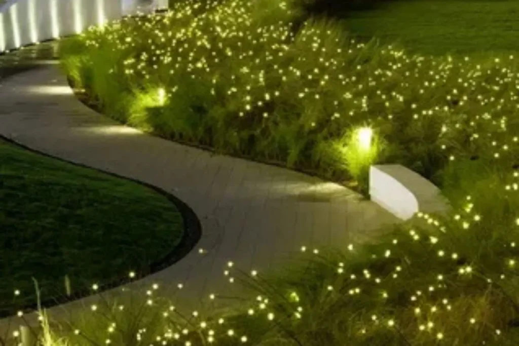 Landscape Lighting
